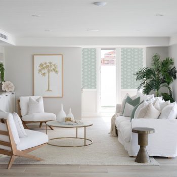 Dot Scallop - Olive Grove