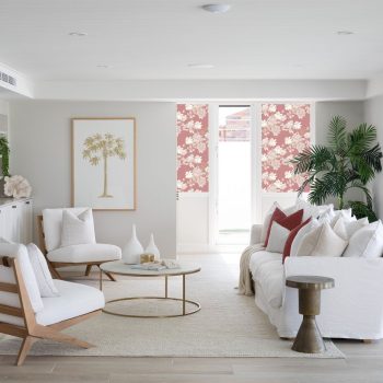 Protea - Cherry Blossom