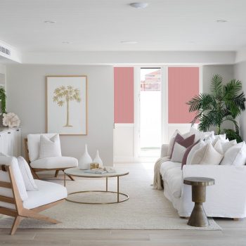 Wisteria - Cherry Blossom