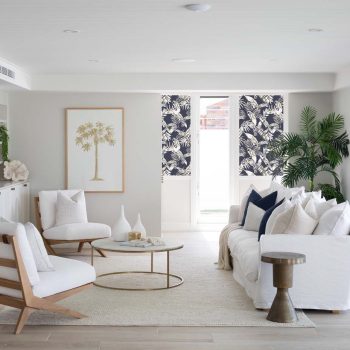 Cooktown Orchids Indigo